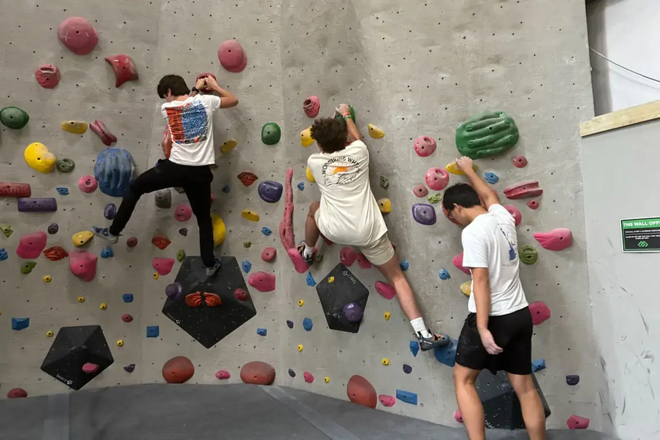 Students climbing
